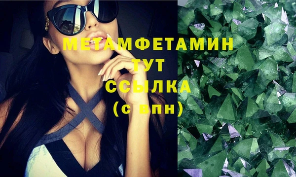 прущие грибы Гусиноозёрск