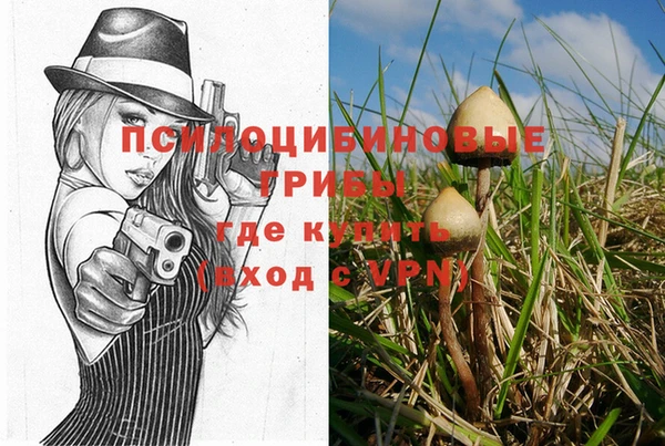 MDMA Гусев