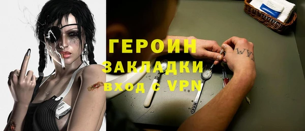 прущие грибы Гусиноозёрск