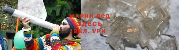 прущие грибы Гусиноозёрск