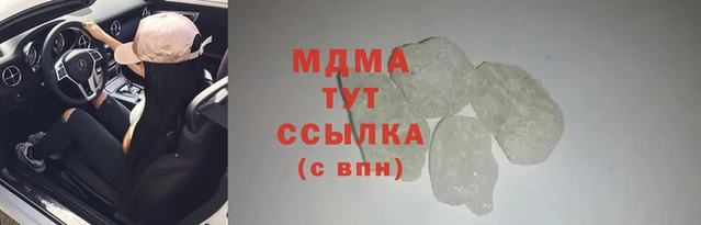 прущие грибы Гусиноозёрск