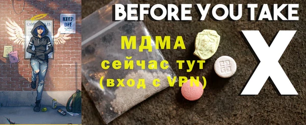 прущие грибы Гусиноозёрск