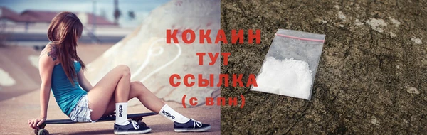 прущие грибы Гусиноозёрск