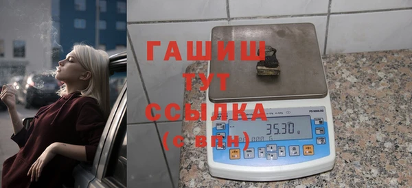 прущие грибы Гусиноозёрск