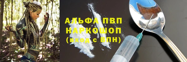 прущие грибы Гусиноозёрск