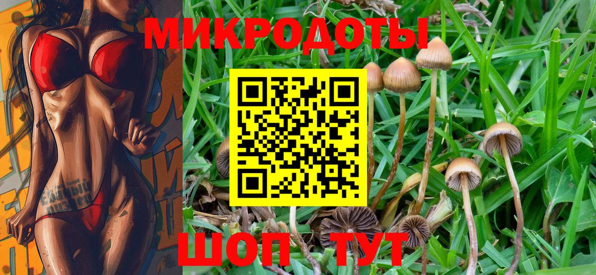Мурино  Псилоцибиновые грибы мицелий  Вход с VPN 